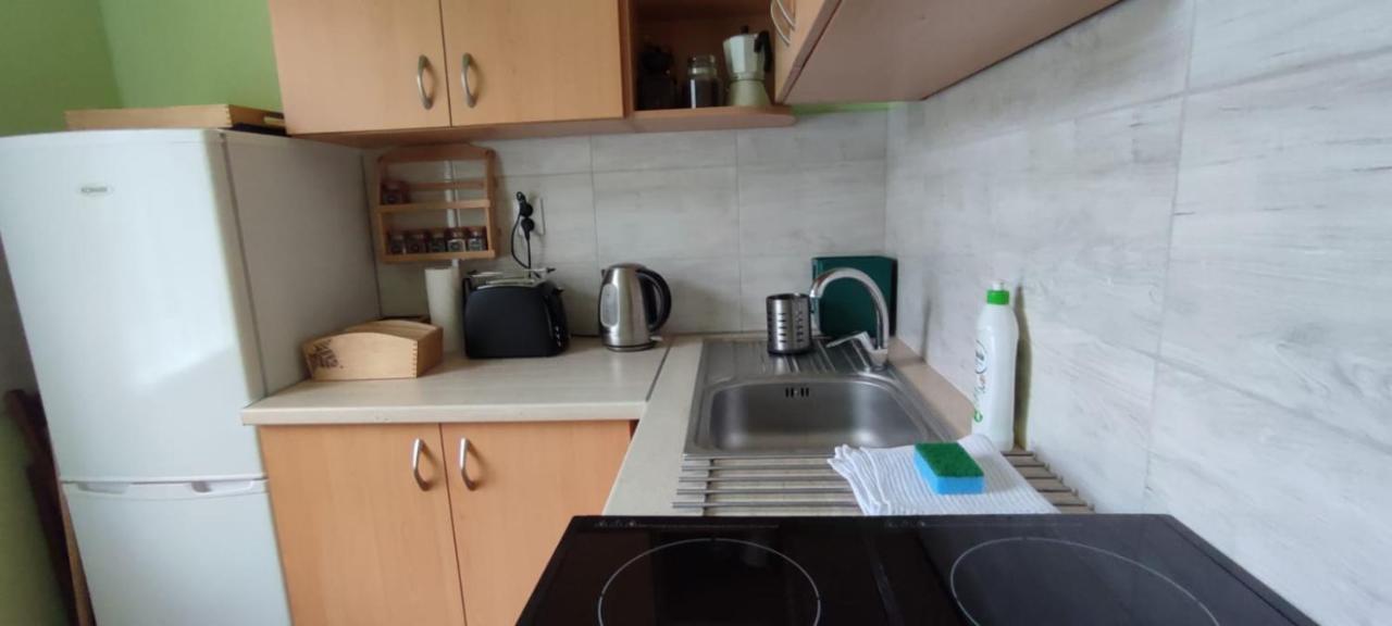 Zacisze Pod Bukami Apartment Gornica ภายนอก รูปภาพ